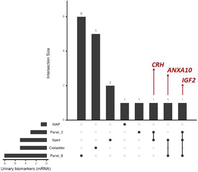 Urinary mRNA-based biomarkers for non-muscle-invasive bladder cancer: a mini-review